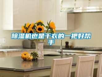 企業(yè)新聞除濕機(jī)也是干衣的一把好幫手