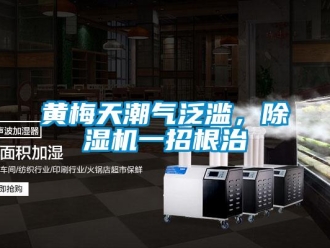 行業(yè)新聞黃梅天潮氣泛濫，除濕機(jī)一招根治