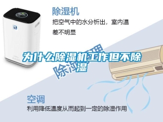 行業(yè)新聞為什么除濕機工作但不除濕
