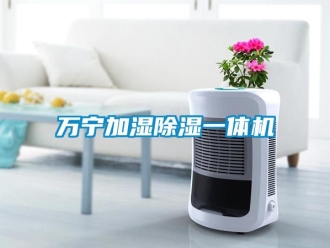 行業(yè)新聞萬寧加濕除濕一體機