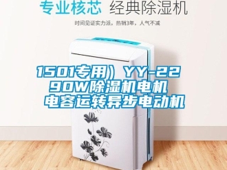 企業(yè)新聞1501專(zhuān)用）YY-22  90W除濕機(jī)電機(jī)  電容運(yùn)轉(zhuǎn)異步電動(dòng)機(jī)