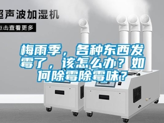 常見問題梅雨季，各種東西發(fā)霉了，該怎么辦？如何除霉除霉味？