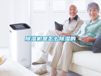 常見問題除濕機(jī)是怎么除濕的