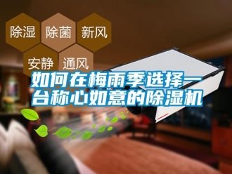 常見(jiàn)問(wèn)題如何在梅雨季選擇一臺(tái)稱(chēng)心如意的除濕機(jī)