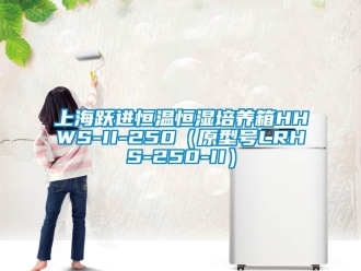 知識(shí)百科上海躍進(jìn)恒溫恒濕培養(yǎng)箱HHWS-II-250（原型號(hào)LRHS-250-II）