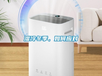 常見問題濕冷冬季，如何應(yīng)對