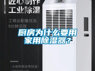 行業(yè)新聞廚房為什么要用家用除濕器？