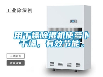 知識(shí)百科用干燥除濕機(jī)使蘿卜干燥，有效節(jié)能。