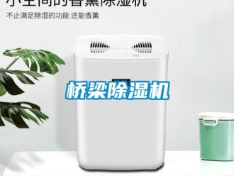 行業(yè)新聞橋梁除濕機(jī)