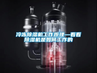 行業(yè)新聞冷凍除濕機(jī)工作原理—看看除濕機(jī)是如何工作的