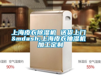 行業(yè)新聞上海皮衣除濕機(jī) 送貨上門(mén) &mdash;上海皮衣抽濕機(jī) 加工定制
