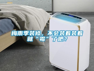 行業(yè)新聞梅雨季裝修，不會(huì)裝著裝著就“霉”了吧？