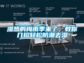 知識百科濕熱的梅雨季來了，教你幾招輕松防潮去濕