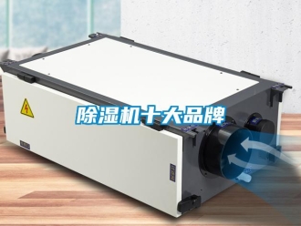 企業(yè)新聞除濕機十大品牌