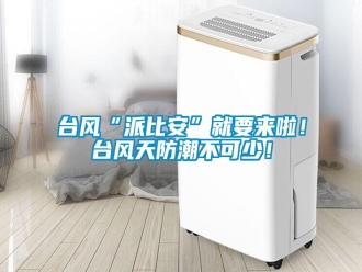 知識百科臺風(fēng)“派比安”就要來啦！臺風(fēng)天防潮不可少！