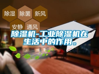 常見問題除濕機-工業(yè)除濕機在生活中的作用。