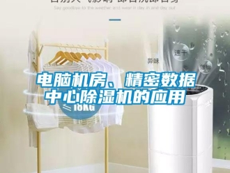 企業(yè)新聞電腦機(jī)房、精密數(shù)據(jù)中心除濕機(jī)的應(yīng)用