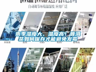 常見問題雨季濕度大、溫度高！普洱茶如何保存才能避免發(fā)霉