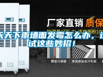 常見問(wèn)題天天下雨墻面發(fā)霉怎么辦，試試這些妙招！
