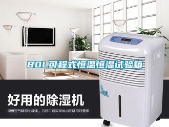 常見問(wèn)題80L可程式恒溫恒濕試驗(yàn)箱