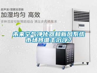 知識百科未來空氣凈化器和新風(fēng)系統(tǒng)市場將誰主沉浮？
