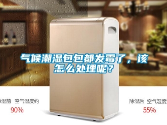 常見問題氣候潮濕包包都發(fā)霉了，該怎么處理呢？