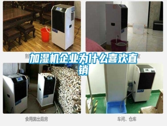 行業(yè)新聞加濕機(jī)企業(yè)為什么喜歡直銷