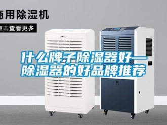 行業(yè)新聞什么牌子除濕器好—除濕器的好品牌推薦