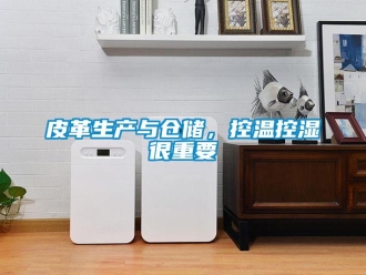 行業(yè)新聞皮革生產(chǎn)與倉(cāng)儲(chǔ)，控溫控濕很重要