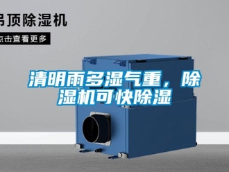 行業(yè)新聞清明雨多濕氣重，除濕機可快除濕