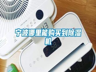 行業(yè)新聞寧波哪里能購(gòu)買(mǎi)到除濕機(jī)