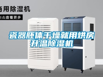 企業(yè)新聞瓷器胚體干燥就用烘房升溫除濕機(jī)