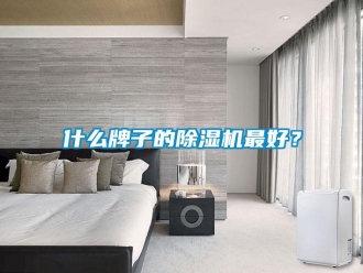 行業(yè)新聞什么牌子的除濕機最好？