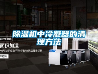 企業(yè)新聞除濕機(jī)中冷凝器的清理方法