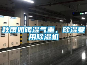 行業(yè)新聞秋雨如晦濕氣重，除濕要用除濕機