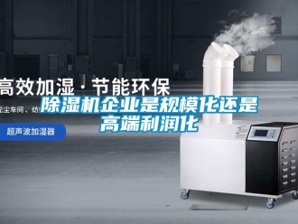 常見(jiàn)問(wèn)題除濕機(jī)企業(yè)是規(guī)模化還是高端利潤(rùn)化