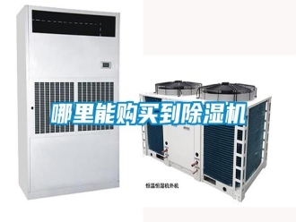 行業(yè)新聞哪里能購買到除濕機(jī)