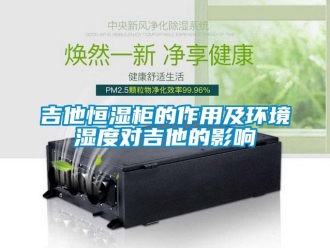 知識百科吉他恒濕柜的作用及環(huán)境濕度對吉他的影響