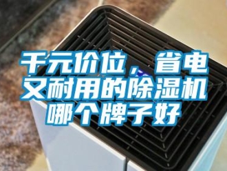 行業(yè)新聞千元價位，省電又耐用的除濕機哪個牌子好