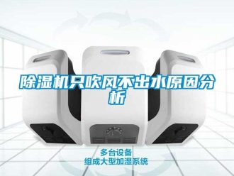 企業(yè)新聞除濕機只吹風(fēng)不出水原因分析