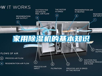 行業(yè)新聞家用除濕機(jī)的基本知識