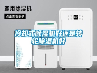 行業(yè)新聞冷卻式除濕機好還是轉(zhuǎn)輪除濕機好