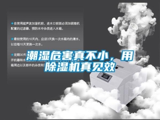 企業(yè)新聞潮濕危害真不小，用除濕機(jī)真見效