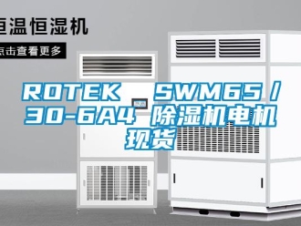 企業(yè)新聞ROTEK  SWM65／30-6A4 除濕機電機現(xiàn)貨