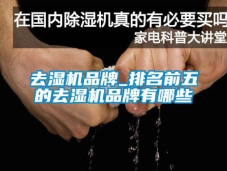 行業(yè)新聞去濕機品牌_排名前五的去濕機品牌有哪些