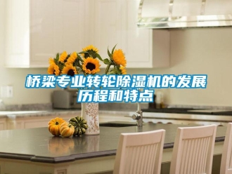 行業(yè)新聞橋梁專業(yè)轉(zhuǎn)輪除濕機(jī)的發(fā)展歷程和特點(diǎn)