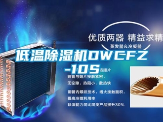 行業(yè)新聞低溫除濕機(jī)DWCFZ-10S