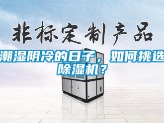 常見(jiàn)問(wèn)題潮濕陰冷的日子，如何挑選除濕機(jī)？