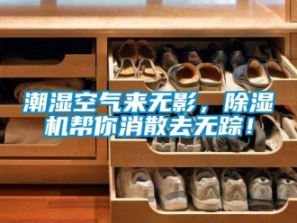 企業(yè)新聞潮濕空氣來無影，除濕機(jī)幫你消散去無蹤！