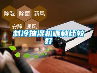 企業(yè)新聞制冷抽濕機哪種比較好